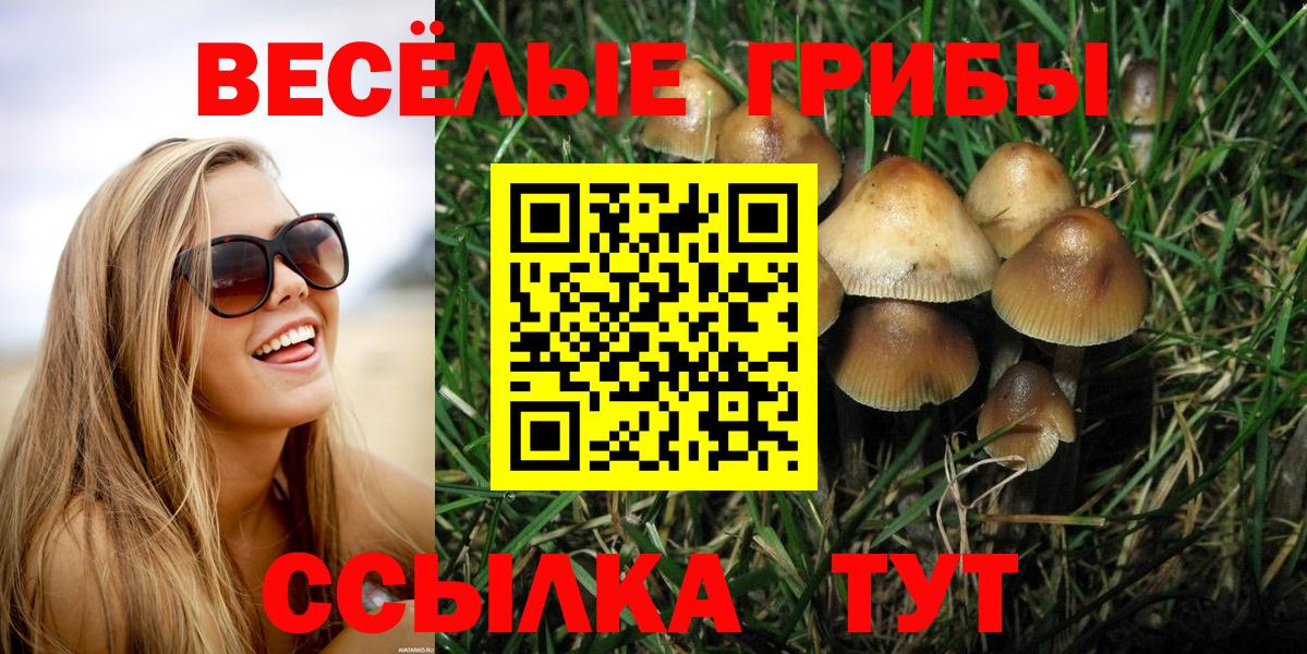 Псилоцибиновые грибы GOLDEN TEACHER  Галлюциногенные грибы ЛСД  Мелеуз  Вход с VPN 